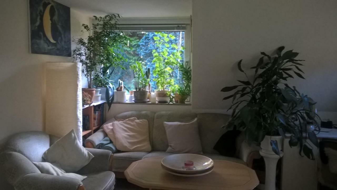 Gemuetl. Ferienwohnung Und Privatzimmer Hamburg Dış mekan fotoğraf