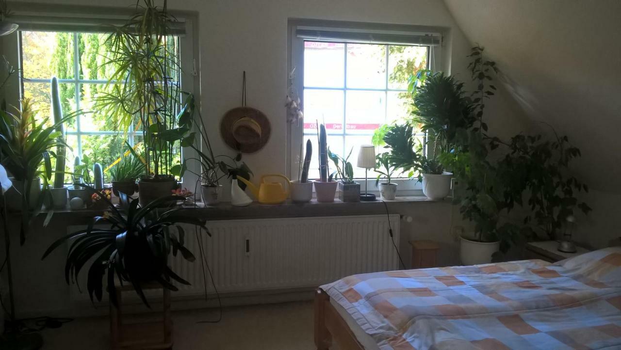 Gemuetl. Ferienwohnung Und Privatzimmer Hamburg Dış mekan fotoğraf